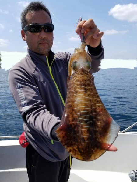 ソルトウォーターガイドフレンズ 釣果