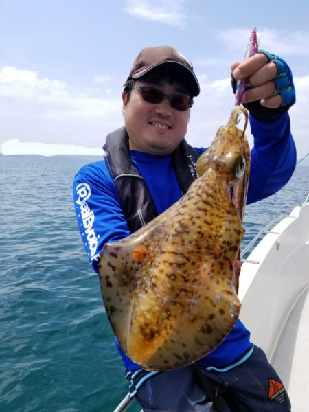 ソルトウォーターガイドフレンズ 釣果