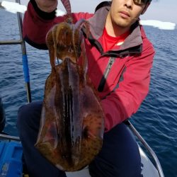 ソルトウォーターガイドフレンズ 釣果