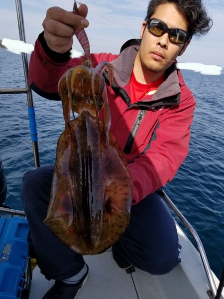 ソルトウォーターガイドフレンズ 釣果