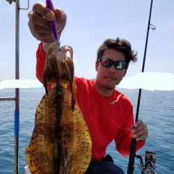 ソルトウォーターガイドフレンズ 釣果