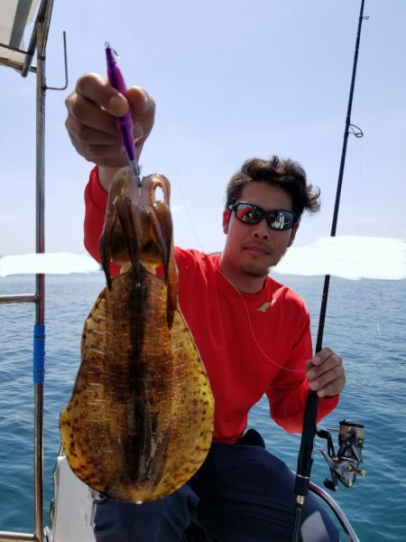 ソルトウォーターガイドフレンズ 釣果