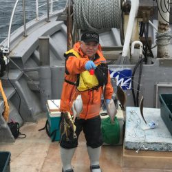 シーランチ 釣果