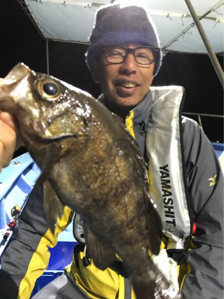 ヤザワ渡船 釣果