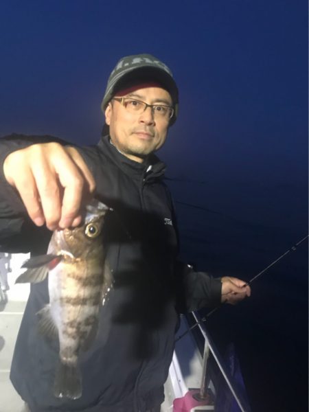 遊漁船メテオ 釣果