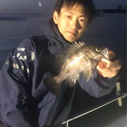 遊漁船メテオ 釣果