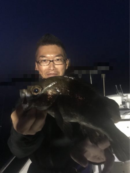 遊漁船メテオ 釣果