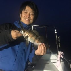 遊漁船メテオ 釣果