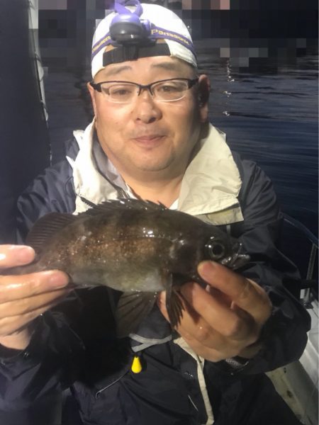 遊漁船メテオ 釣果