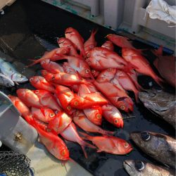 ＴＡＲＯＭＡＲＵ 釣果