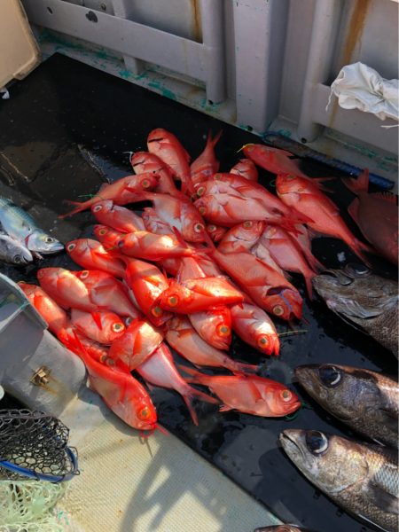 ＴＡＲＯＭＡＲＵ 釣果