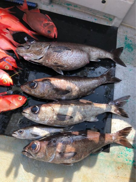 ＴＡＲＯＭＡＲＵ 釣果