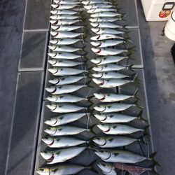 SeaRide(シーライド) 釣果