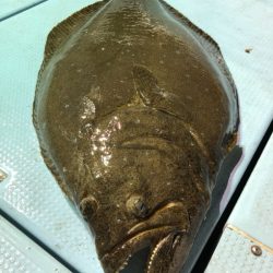 第二八坂丸 釣果