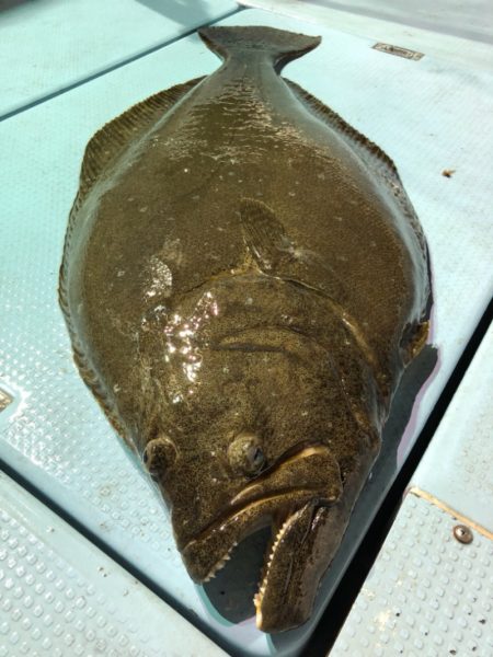 第二八坂丸 釣果