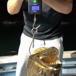 第二八坂丸 釣果