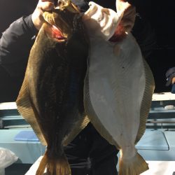 第二八坂丸 釣果