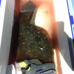 第二八坂丸 釣果