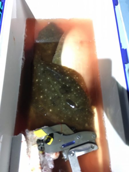 第二八坂丸 釣果