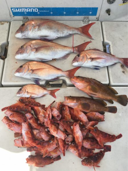 末広丸(熊本) 釣果