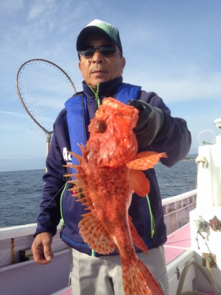 晃山丸 釣果