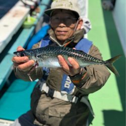 丸万釣船 釣果