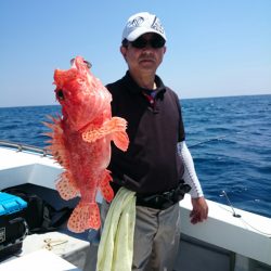 エンペラー 釣果