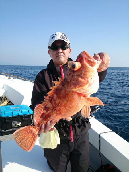 エンペラー 釣果