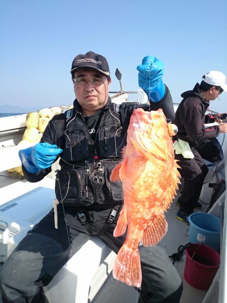 エンペラー 釣果