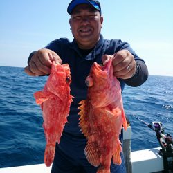 エンペラー 釣果