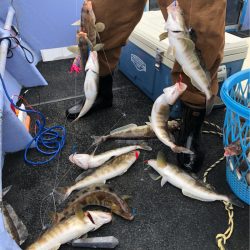 第二 つれたか丸 釣果