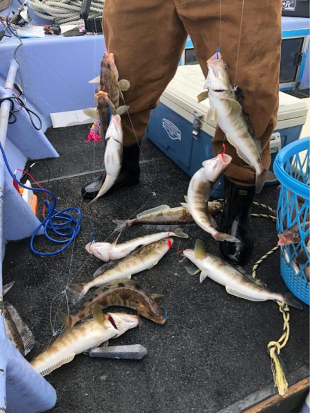 第二 つれたか丸 釣果