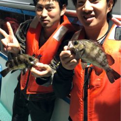 ヤザワ渡船 釣果