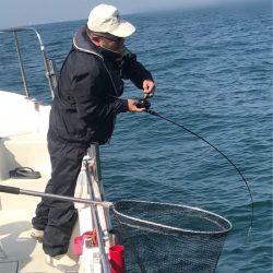 遊漁船メテオ 釣果