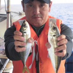 ヤザワ渡船 釣果