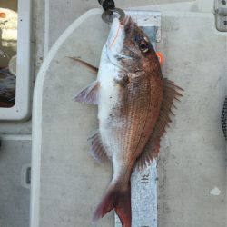 末広丸(熊本) 釣果