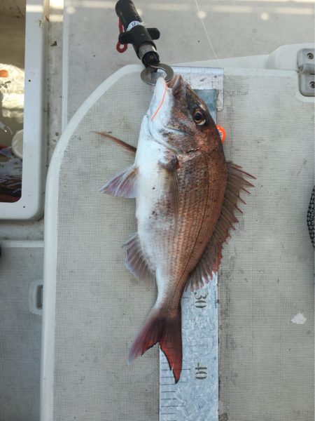 末広丸(熊本) 釣果