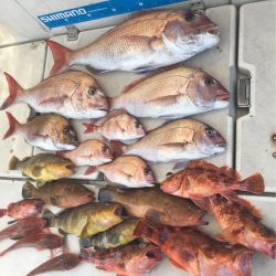 末広丸(熊本) 釣果