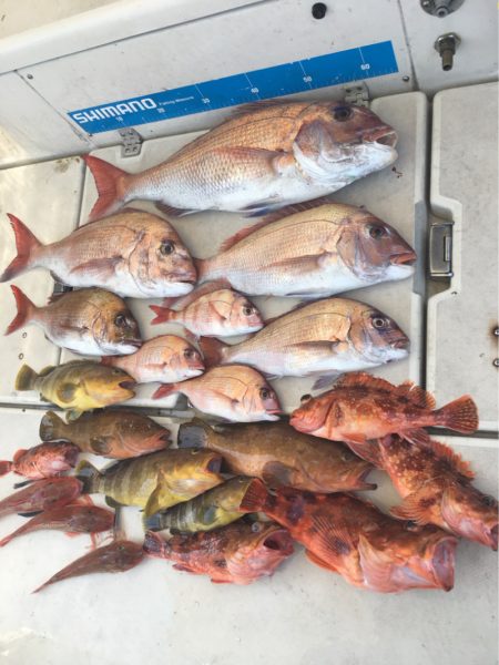 末広丸(熊本) 釣果