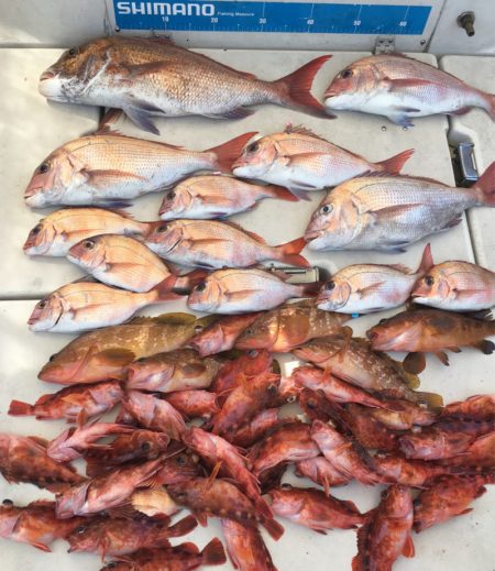 末広丸(熊本) 釣果