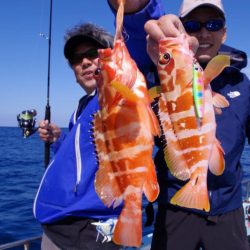 渡船屋たにぐち 釣果