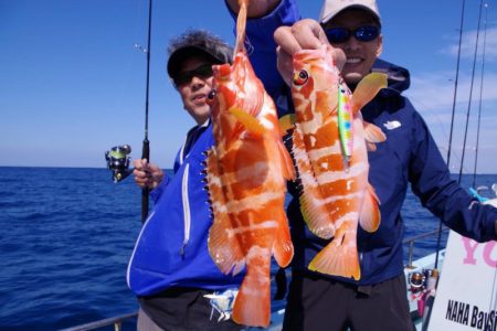 渡船屋たにぐち 釣果