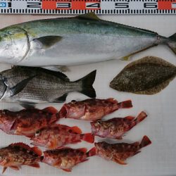 遊漁船 家入 釣果