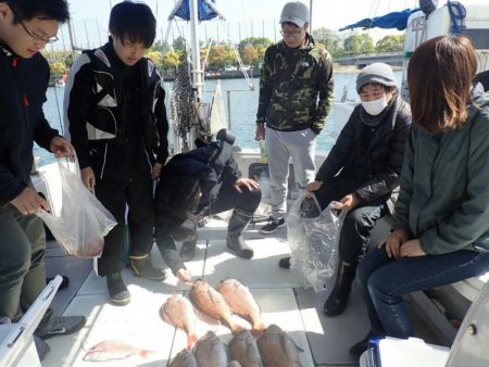 タイラバ遊漁船 ワンピース 釣果