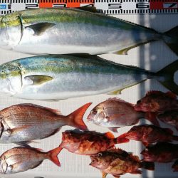 遊漁船 家入 釣果