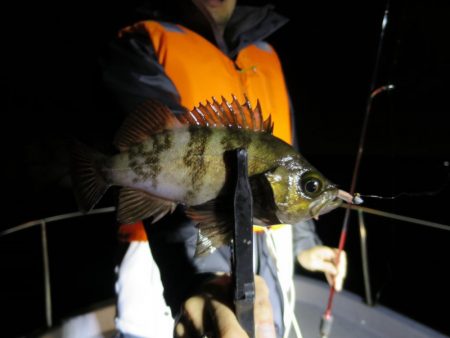 Chase（チェイス） 釣果