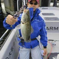 Chase（チェイス） 釣果