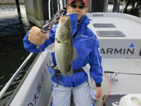 Chase（チェイス） 釣果