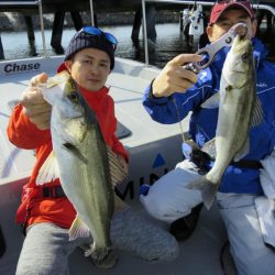 Chase（チェイス） 釣果