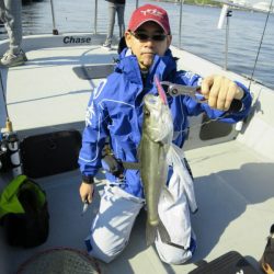 Chase（チェイス） 釣果